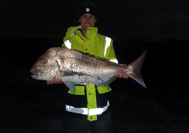 North mole pink snapper